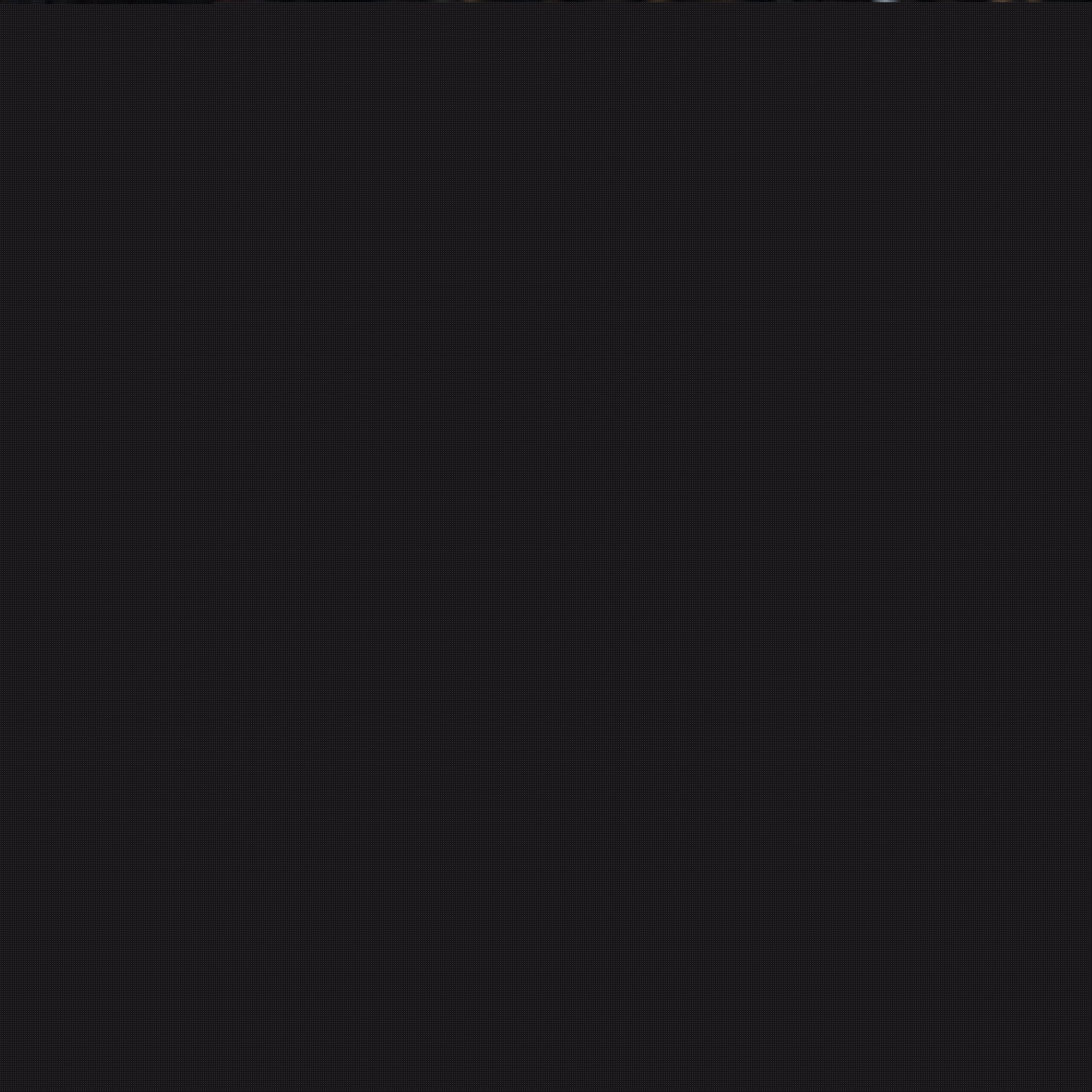 这项活动不